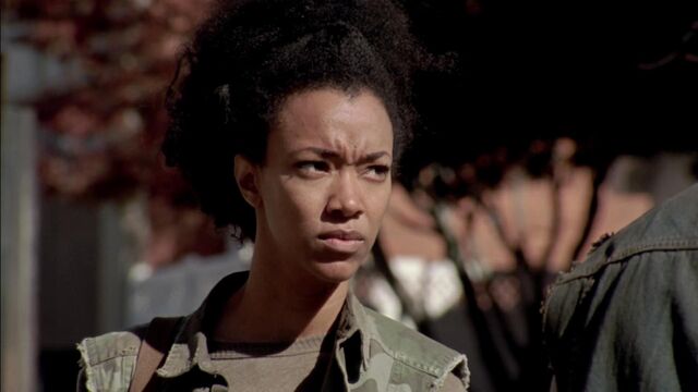 File:Sasha 314 Pic.jpg