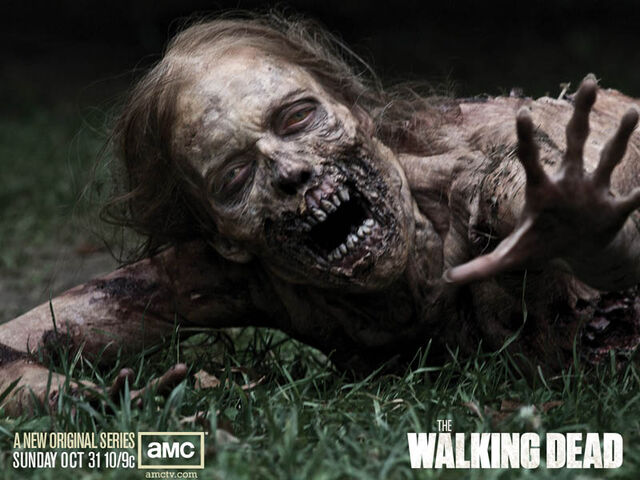 File:TWD-800x600-3PRE.jpeg