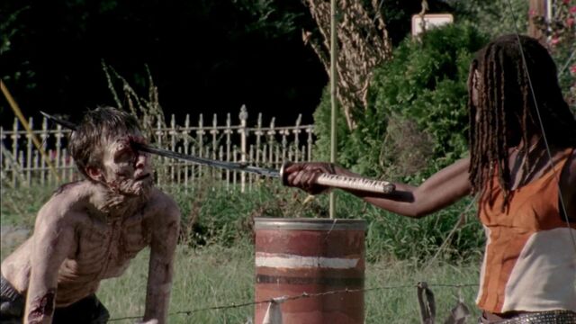 File:Twd312-001538.jpg