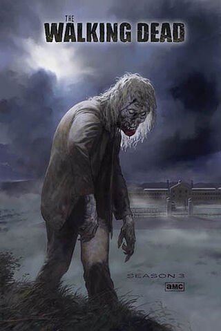 File:San Diego Comic-Con 2012 - The Walking Dead Season 3 Illustrated Poster.jpg