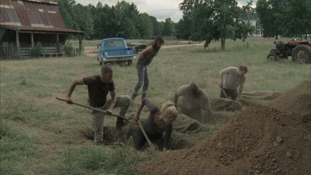 File:Twd208 0544.jpg