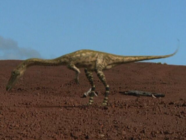 File:WWD1x1 Coelophysis.jpg