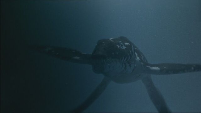 File:SM1x3 Liopleurodon.jpg