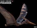 Thumbnail for version as of 05:33, January 23, 2012
