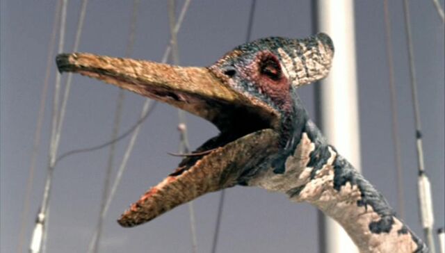 File:Pteranodon.jpg