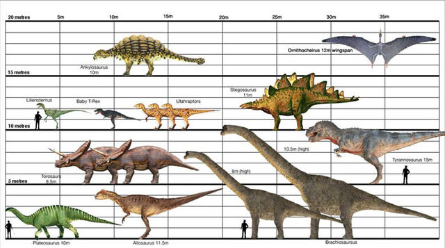 File:Dino-Size-Chart.jpg