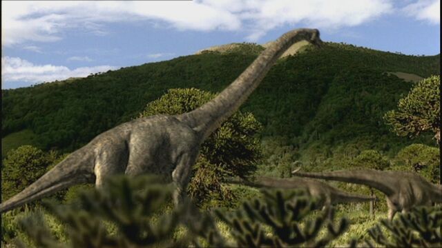 File:WWD1x2 BrachiosaurusWithDiplodocus.jpg