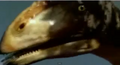 Thumbnail for version as of 23:30, March 13, 2011
