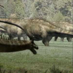 File:Diplodocus.JPG