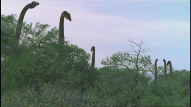 File:WWDPilot CetiosaurusHerd.jpg