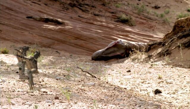 File:Dead Al.jpg