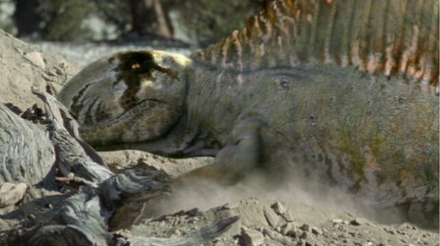 File:Dimetrodon digs.jpg