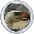 Thumbnail for version as of 08:20, April 26, 2014