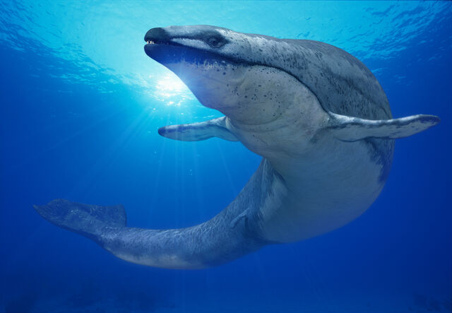 File:Promo Basilosaurus.jpg