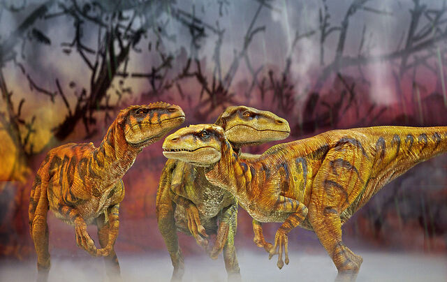 File:Utahraptor live.jpg