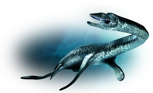 File:Marine reptile-large.png