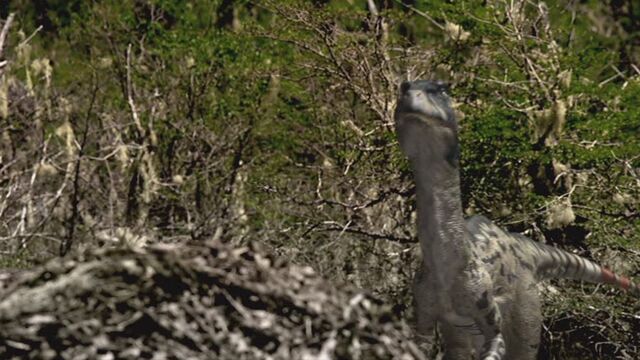 File:Dromaeosaurus-wwd-2.jpg