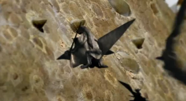 File:Pterosaur diplodocus.png