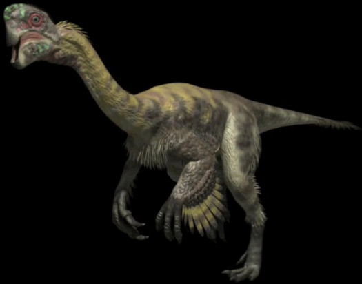 citipati dinosaur