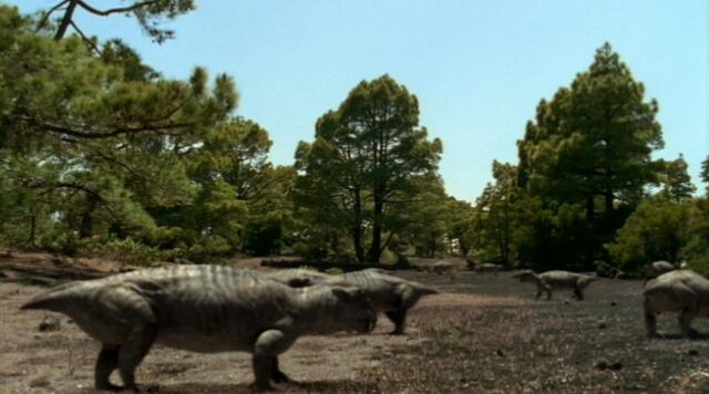 File:Lystrosaurus gang.jpg