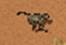 Catopithecus