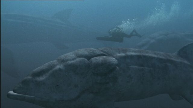 File:SM1x3 ShoalOfLeedsichthys.jpg