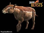 Propalaeotherium large