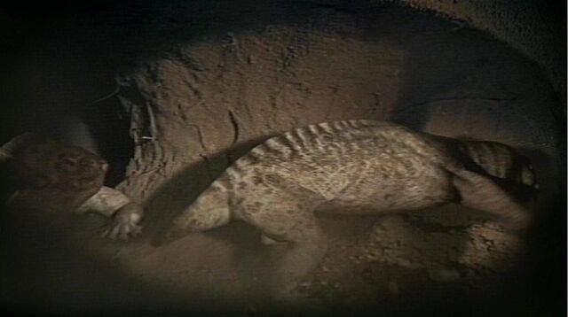 File:Diictodon digging.jpg