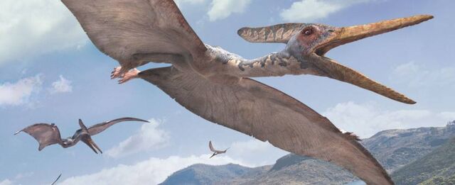 File:Pteranodons.jpg