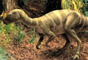 Hypsilophodon1