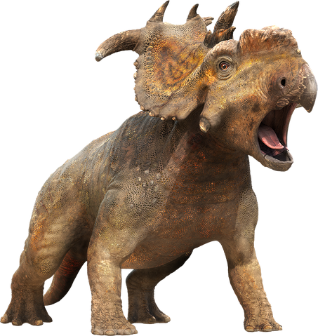 File:Bulldust.png