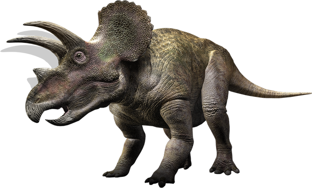 File:Triceratops WWD.png