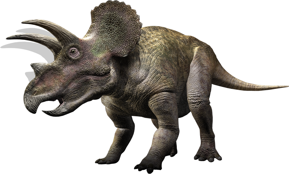 triceratops with multiple horns