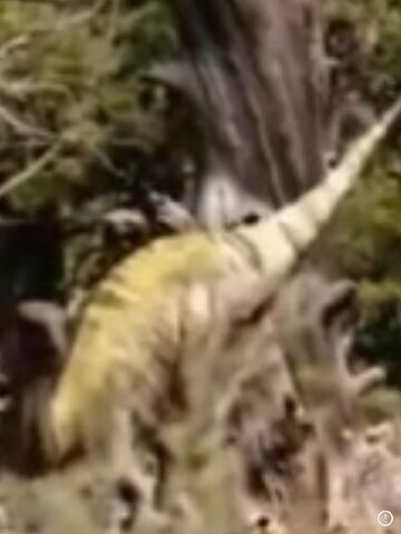 File:Hiding Dryosaurus.jpg