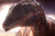 640px-Carcharodontosaurus