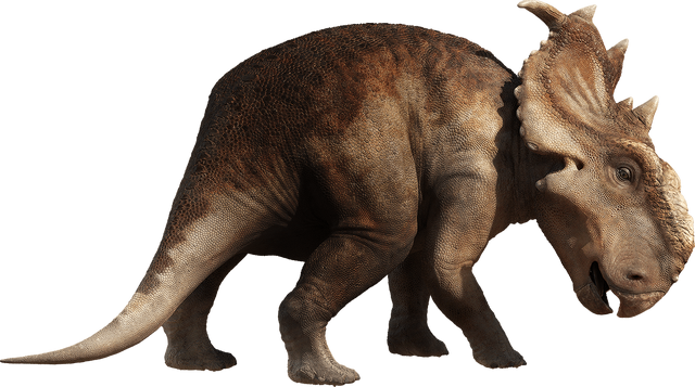 File:Patchi-mom.png