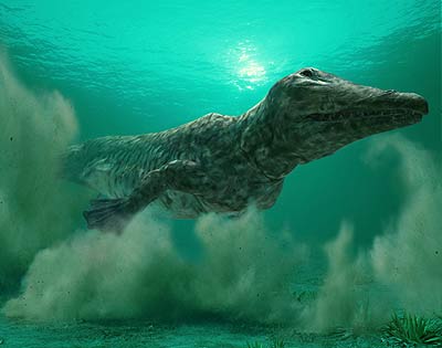 File:Ambulocetus wwb.jpg