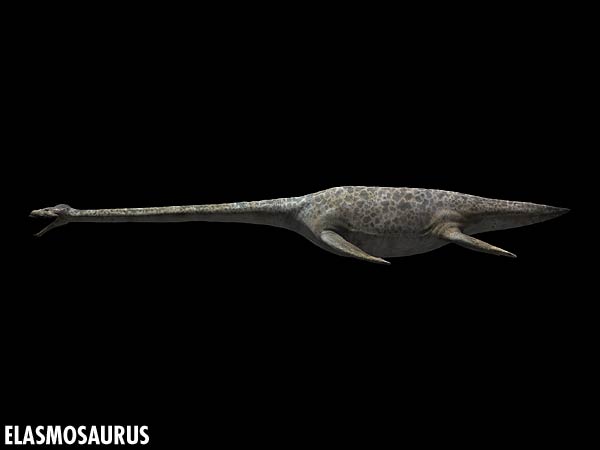 Elasmosaurus | Walking with Dinosaurs Wiki | FANDOM powered by Wikia