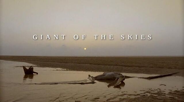 File:Giant of the skies.jpg