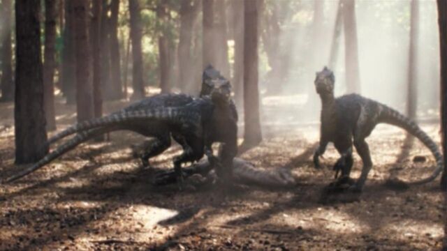 File:Cretaceous Forest.jpg