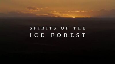 Spirits of the ice forest