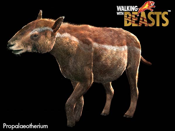File:Propalaeotherium.jpg