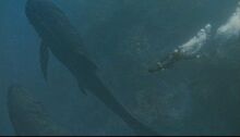 Leedsichthys