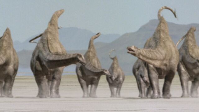 File:Diplodocus-bigal-1.jpg