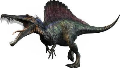 Dino-large spino