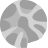 File:化石.png