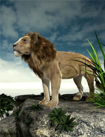 File:LION2.jpg