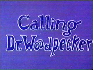 Drwoodpecker-title-1-