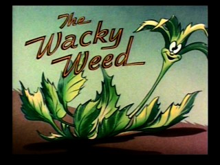 Weed-title-1-