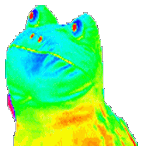 File:Discofrog.gif
